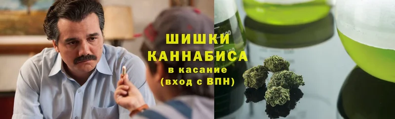 где купить наркотик  Красный Кут  Бошки марихуана план 